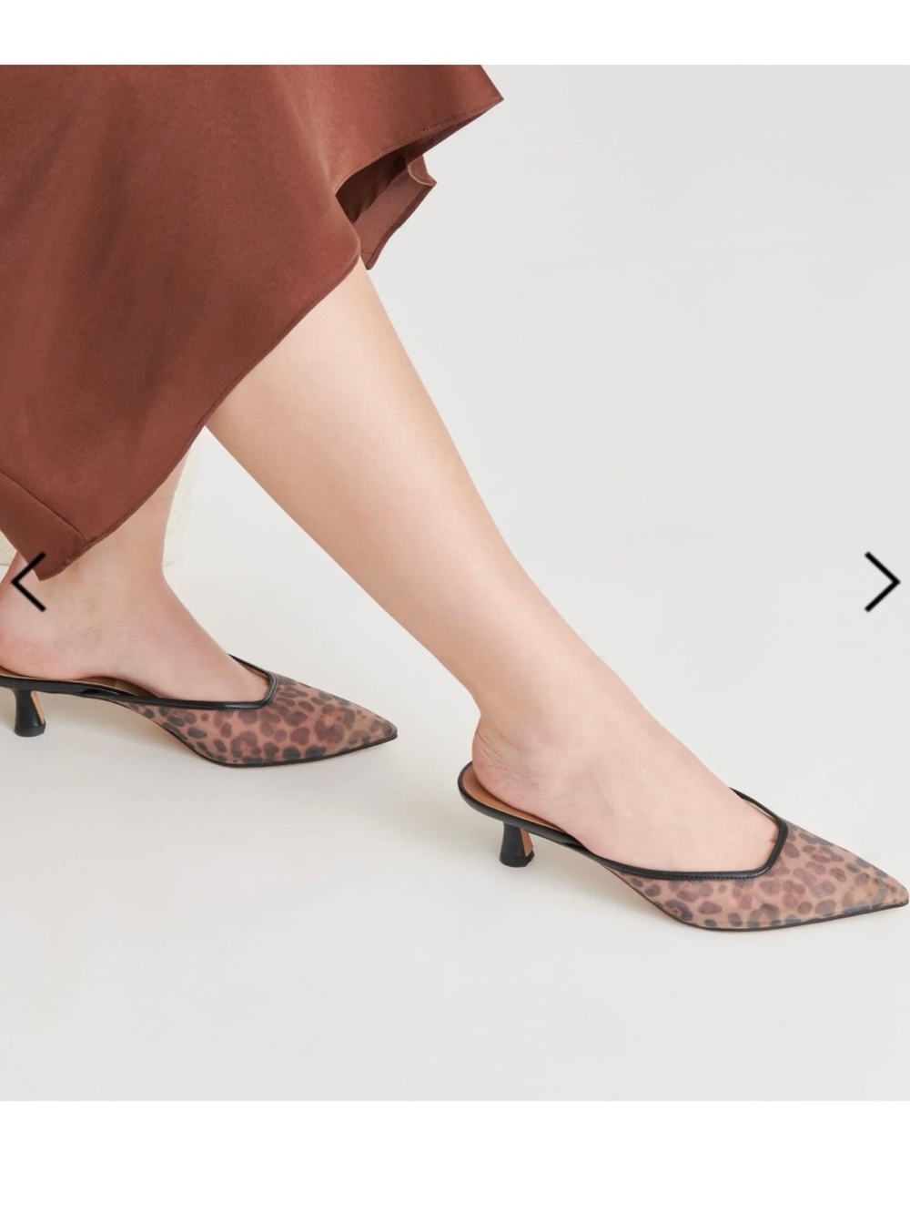 Dolce Vita Brown Cleo Leopard-Print Pointed Mules